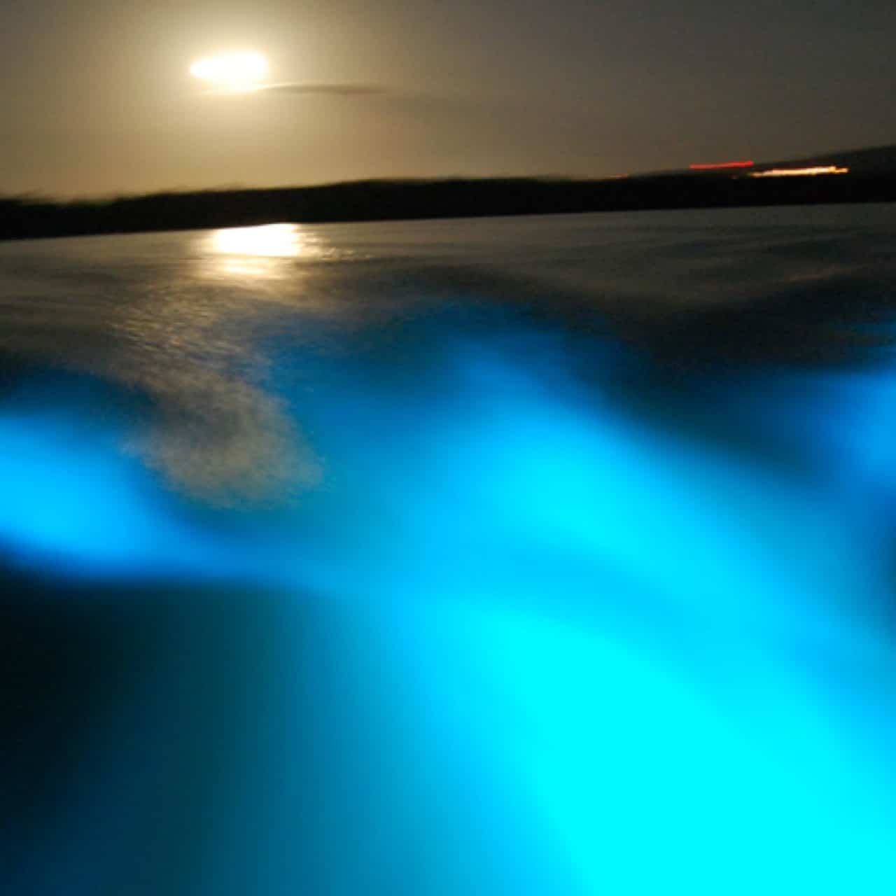 Luminous Lagoon, Glistening Water