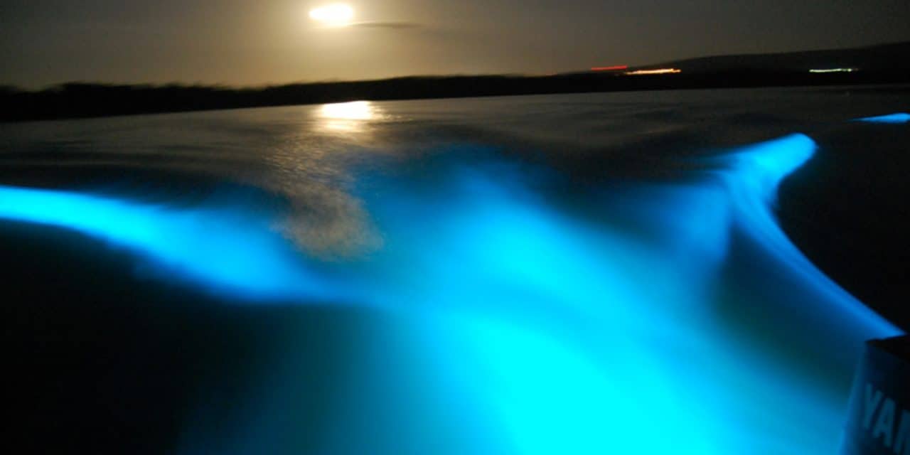 Luminous Lagoon, Glistening Water