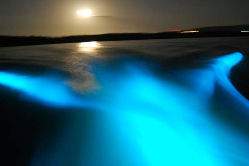 Luminous Lagoon, Glistening Water