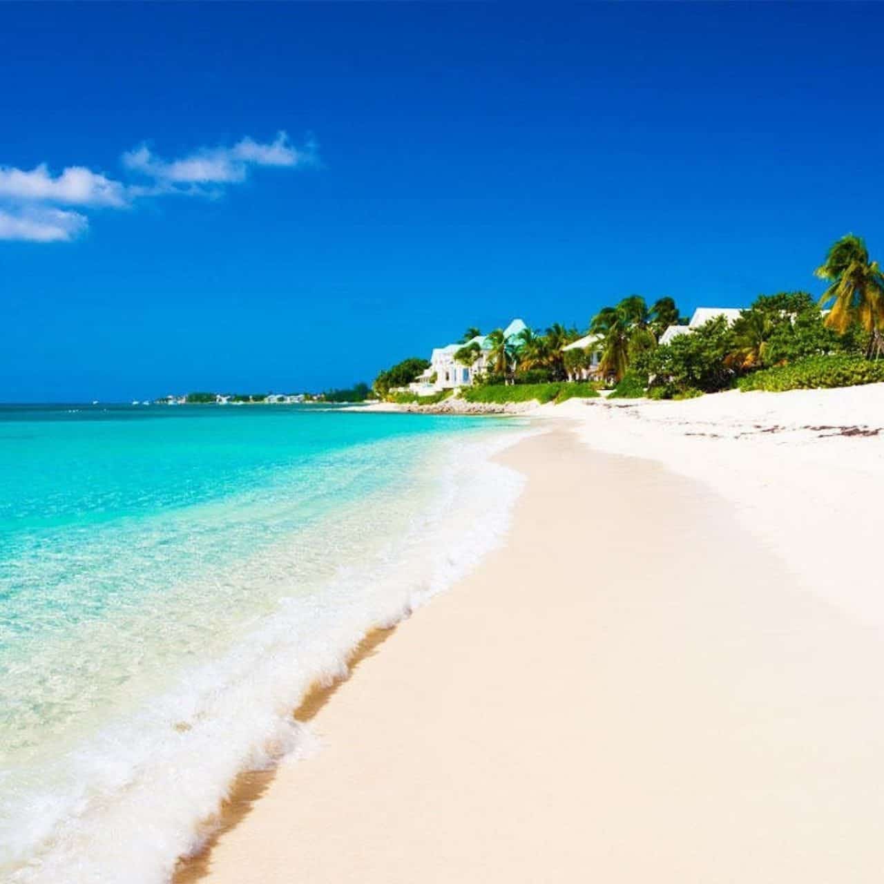 7 Mile Beach & Ricks Café